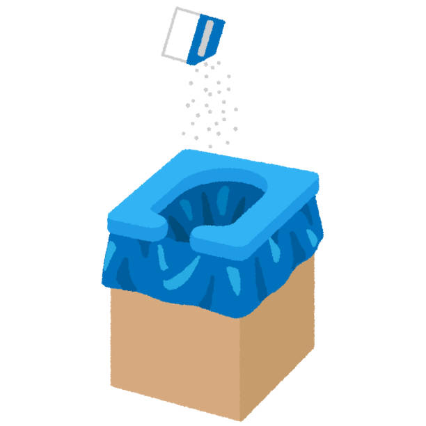 Best Sanitation services for porta potties  in Black Mountain, NC
